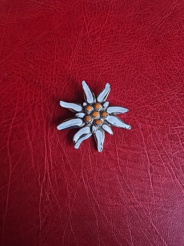 Alte anstecknadel souvenir - ,