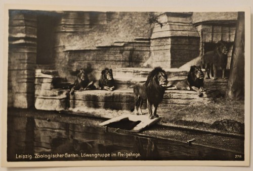 Leipzig zoologischer garten - ak,