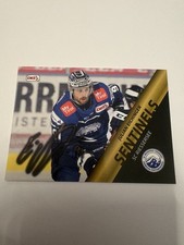 DEL2 Sentinels SC Riessersee