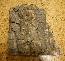 Felsen aus Kork_Korkfelsen