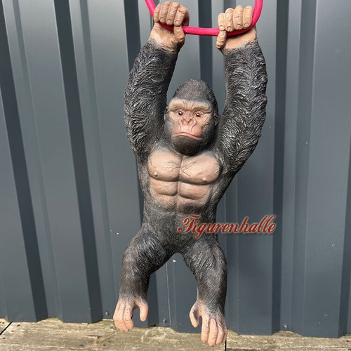 Gorilla affe silberrücken - gorilla,