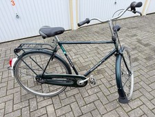 Gazelle Tournee Ambiance He