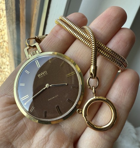 Vintage chocolate dial bwc - vintage,
