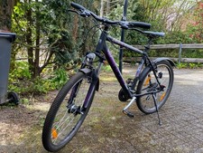 Bulls Nandi Street -