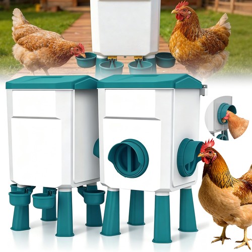 Futterautomat hühner