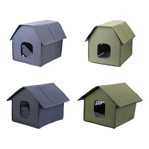 Stray cat house feral - cat,
