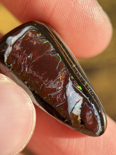 Boulder opal poliert - poliert, 19,4