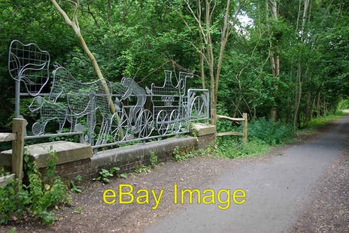 Foto 6x4 rinder kriechbrücke - rinder,
