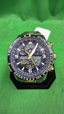 Citizen Blue Angels Skyhawk