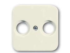 21x  Busch-Jaeger 2531-212