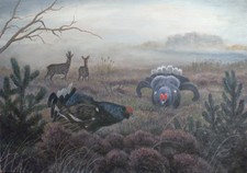 Jagdgemälde  "BIRKHAHNBALZ" -