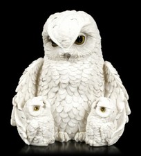 Eulen Figur - Feathered Family