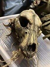 LARP Kopfschmuck Prehistorischer Wolfsschädel Unikat Unisize für Schamanen usw.