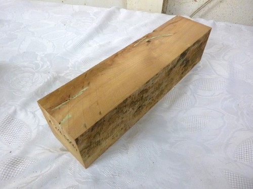 Rüster ulme drechselholz - rüster,