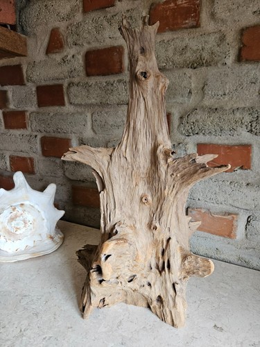 Teak wurzelholz skulptur asia - teak,