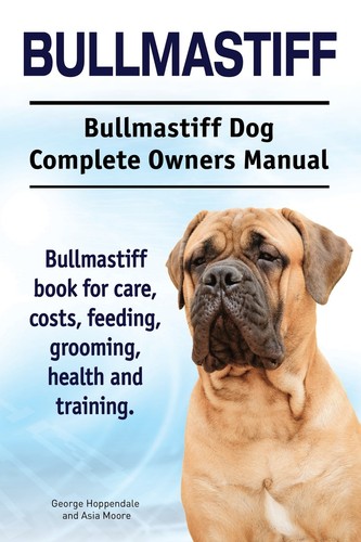 Bullmastiff dog - bullmastiff,