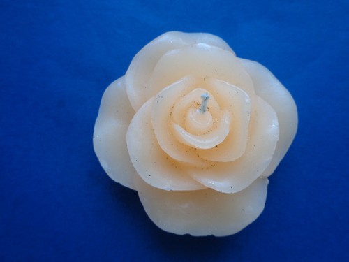 Kerze schwimmkerze rosenblüte - schwimmkerze,