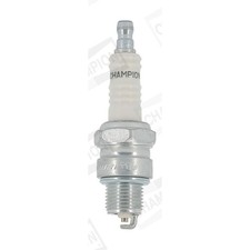 1x ORIGINAL® Champion