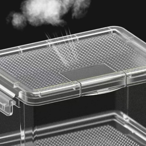 Insektenaufzuchtbox