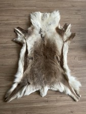 Echtes Rentierfell XXXL 145 x 115 cm Groß aus Lappland Sehr Weich Guter Zustand