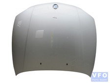 Motorhaube titansilber 354