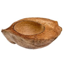 Kokosnussschale halbiert Deko