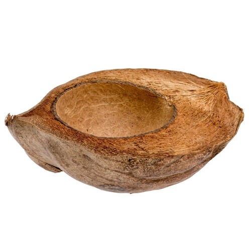 Kokosnussschale halbiert deko - kokosnussschale,