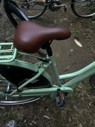 Bergstriger city bike - city,