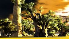 10 Samen Afrikanischer Affenbrotbaum Baobab Adansonia digitata Bonsai 