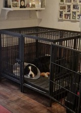 Hundebox, Transportbox, Hundezwinger, XXL, Indoor, Outdoor, Rollen, Bingopaw