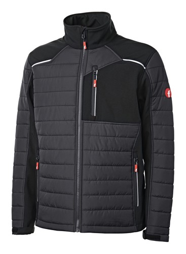 Fortis elements - fortis,