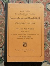 Buntsandstein und Muschelkalk