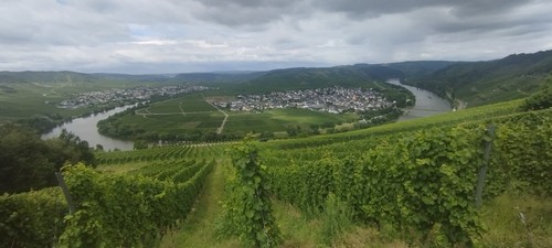 Ferienwohnung bergblick mosel - bergblick,