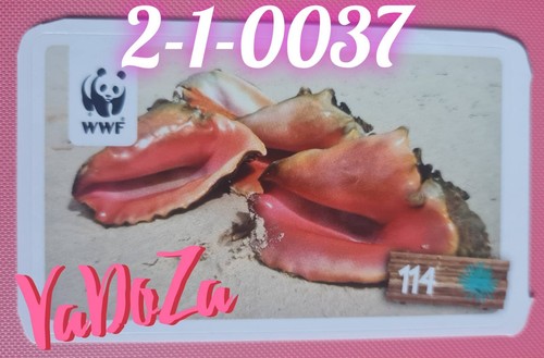 Wwf fechterschnecke - wwf,