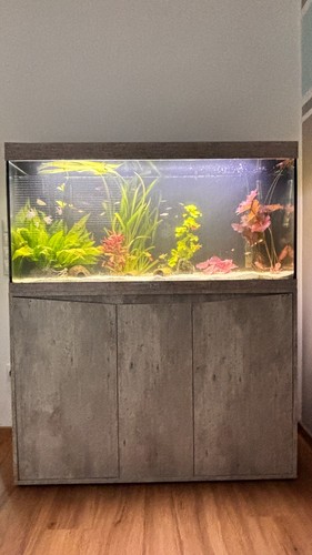 Aquatlantis aquarium - aquatlantis,