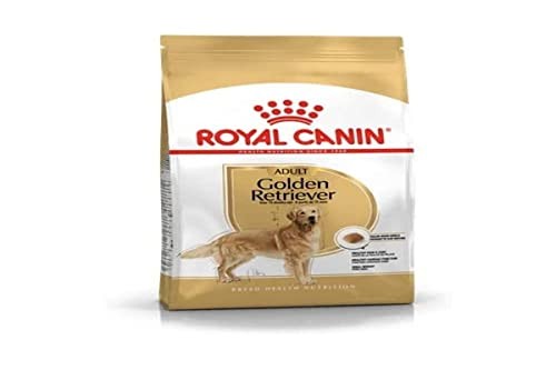 Bhn golden retriever 12kg - bhn,