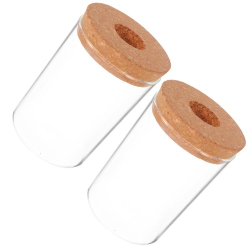 2pcs glaspflanze terrarium - 2pcs,