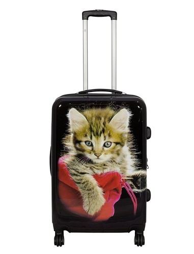 Bunter katze bordgepäck - bunter,