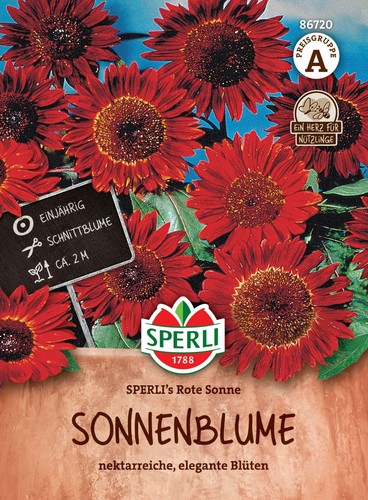 Sonnenblume rote sonne - sonnenblume,