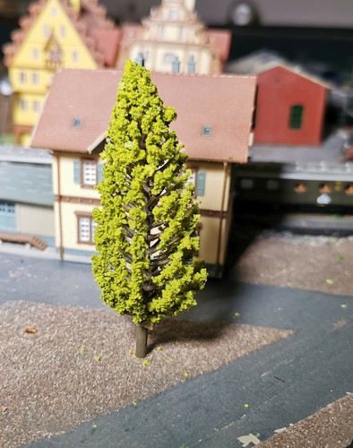 Dunkelgelbgrüne tannen - 5,