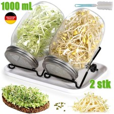 Sprossenglas Keimglas Sprossen