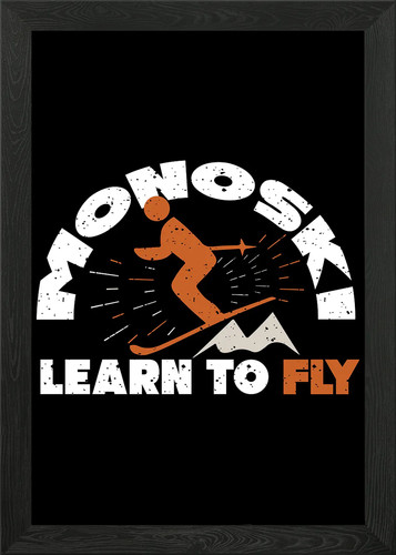 Monoski funny mono ski - funny,