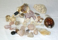 Aquarium Dekoration * Schiefer Steine Rosenquarz Lochstein Riff Muscheln u.a.  1