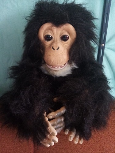 Furreal affe cuddle chimp - affe,