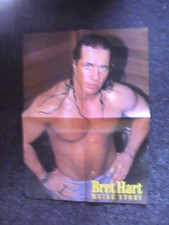 Poster Wrestling WWF/WWE Bret "The Hitman" Hart - Meine Story - DIN A2