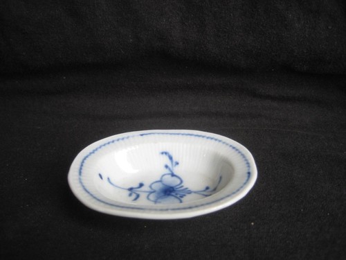Indisch blau strohblume - indisch,