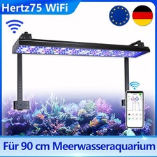 PopBloom Meerwasser Aquarium