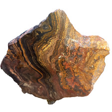 0,56Kg Stromatolith Anschliff