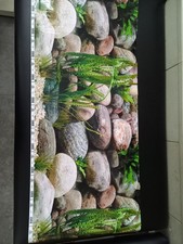 Marina Rückwandfolie für Aquarium 50x130 cm - gebraucht -