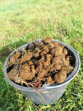 10 kg Pferdeäpfel Pferdemist Pferdedung Biodünger Naturdünger Blumendünger